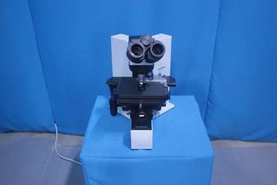 Lab Microscope 1