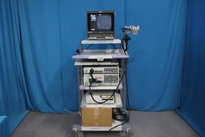 Electronic endoscope system 1