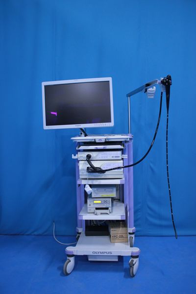 Electronic endoscope system 1