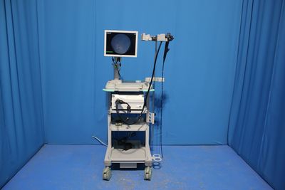 Electronic endoscope system 1