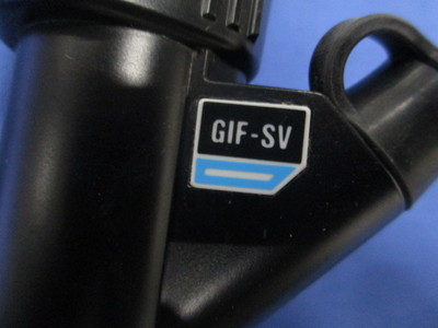 Upper gastrointestinal videoscope 2