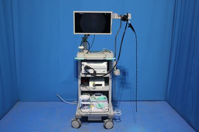 Electronic endoscope system 2