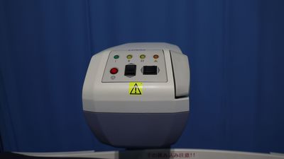 Dexa Scan 2