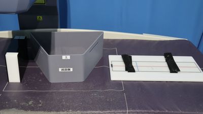 Dexa Scan 3