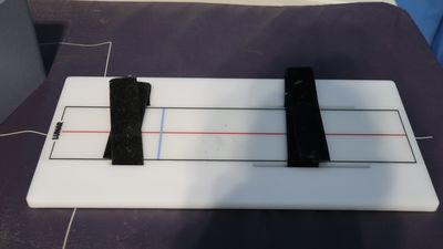 Dexa Scan 4