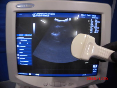 The ultrasonic diagnostic apparatus 5