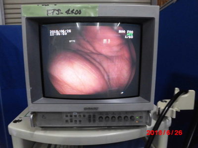 Upper gastrointestinal videoscope 5