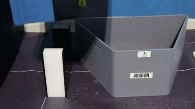 Dexa Scan 5
