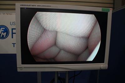 LED light source device 6