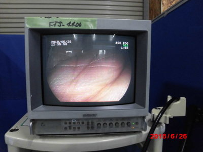 Upper gastrointestinal videoscope 6