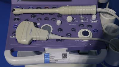 The ultrasonic diagnostic apparatus 10